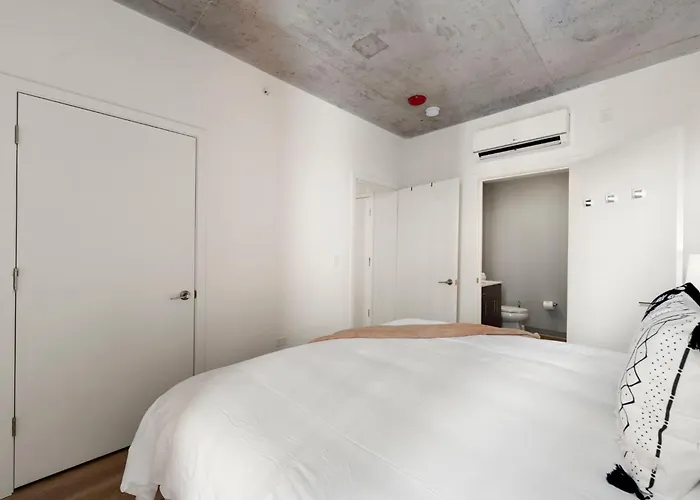 Brand New 4br In Heart Of Chicago